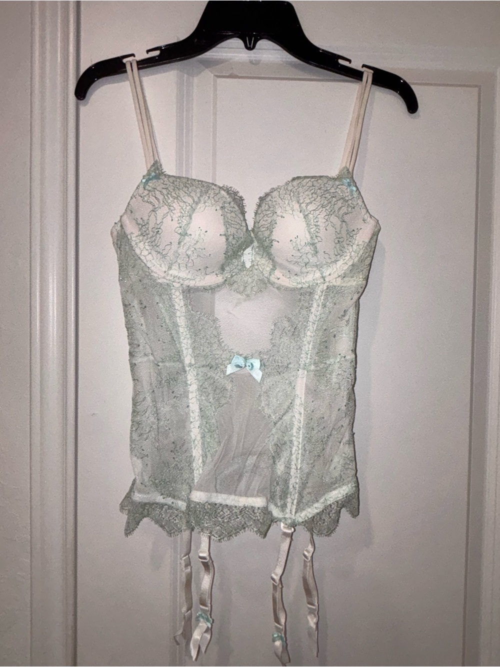 Victoria's Secret Pale Mint Lace Bustier with Garters